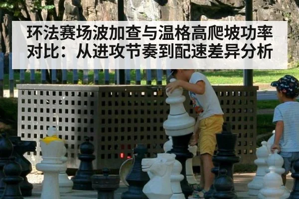 环法赛场波加查与温格高爬坡功率对比:从进攻节奏到配速差异分析